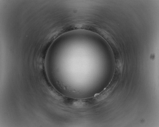 X0000096700470200802051415