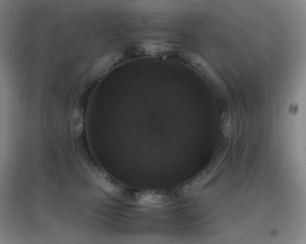 X0000096700471200802051415
