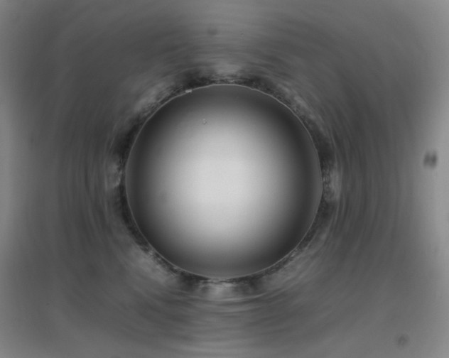 X0000096700472200802051415