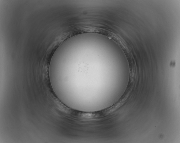 X0000096700473200802051415