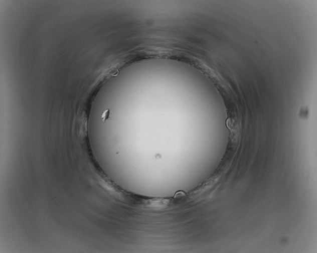 X0000096700474200802051415