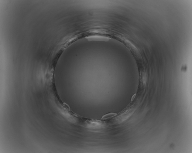 X0000096700475200802051415
