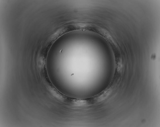 X0000096700476200802051415
