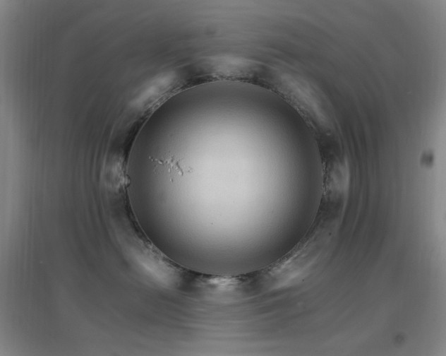 X0000096700478200802051415