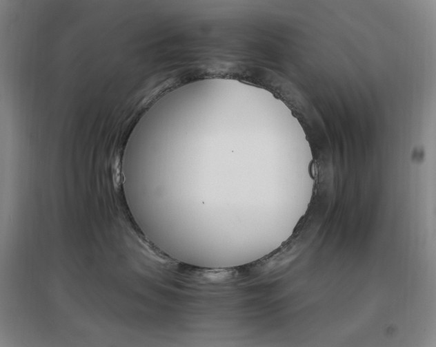 X0000096700479200802051415