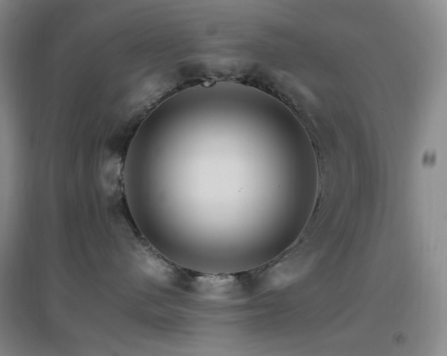 X0000096700480200802051415