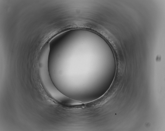 X0000096700481200802051415