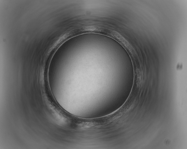X0000096700482200802051415