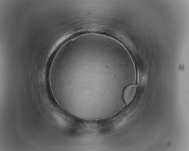 X0000096700483200802051415