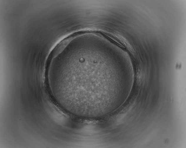 X0000096700484200802051415