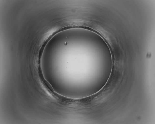 X0000096700485200802051414