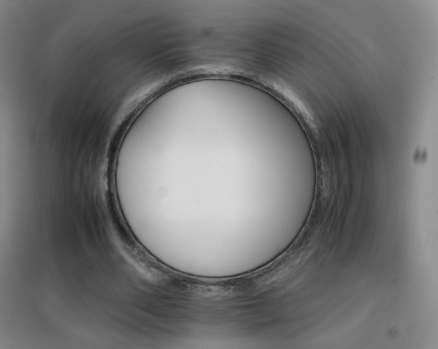 X0000096700486200802051414