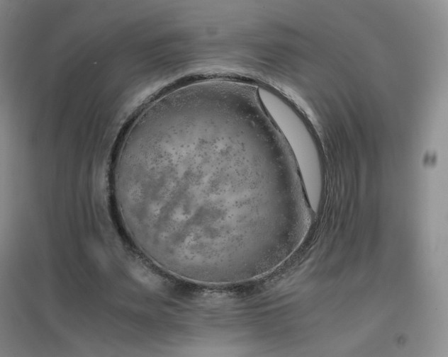 X0000096700487200802051414