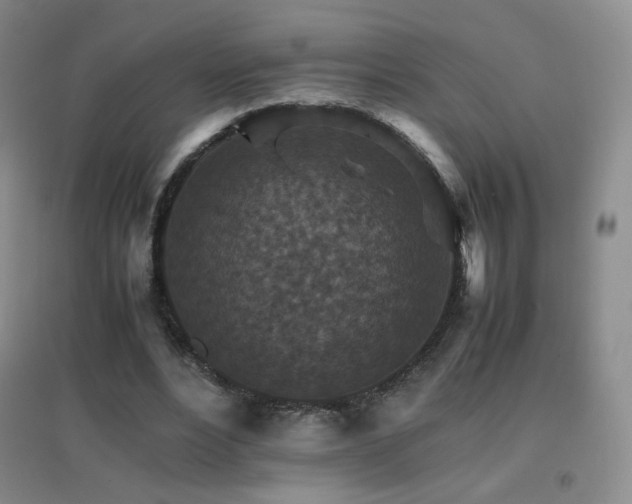 X0000096700488200802051414