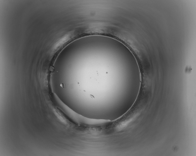 X0000096700489200802051414