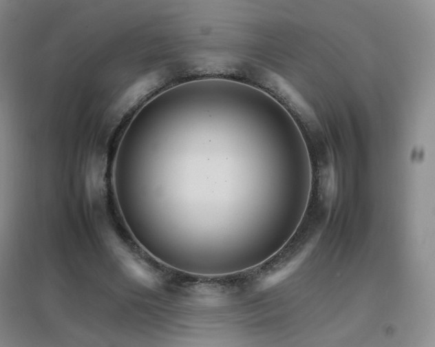 X0000096700490200802051414
