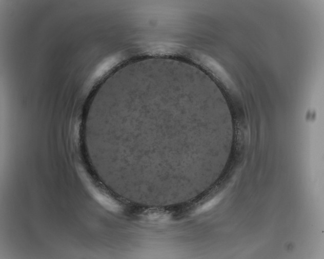 X0000096700491200802051414