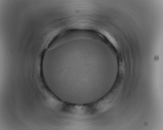 X0000096700493200802051414
