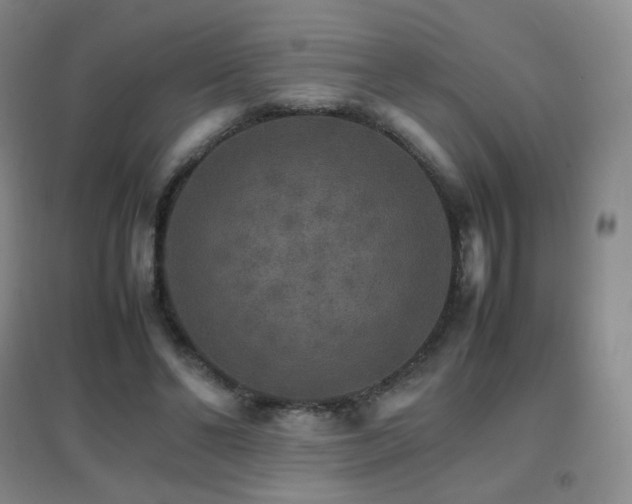 X0000096700494200802051414