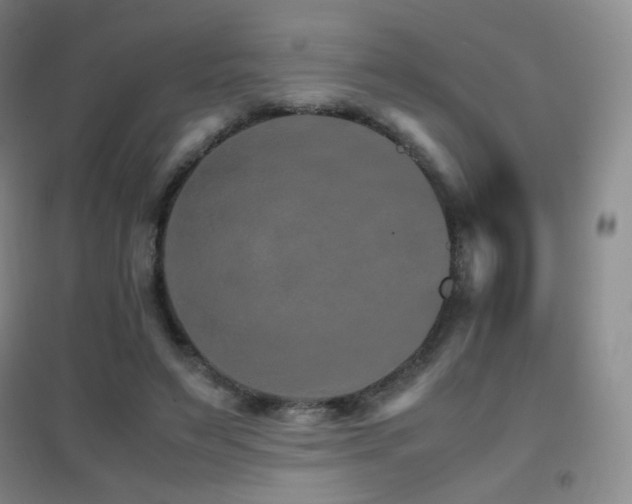 X0000096700495200802051414