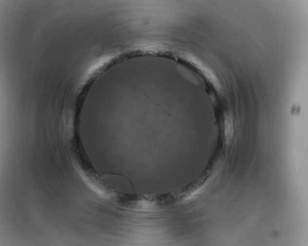X0000096700496200802051414