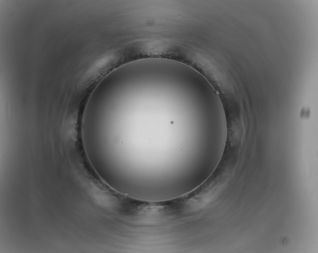 X0000096700497200802051414