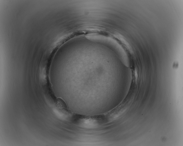X0000096700500200802051414