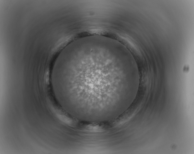 X0000096700502200802051414