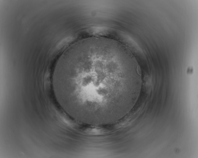 X0000096700506200802051414