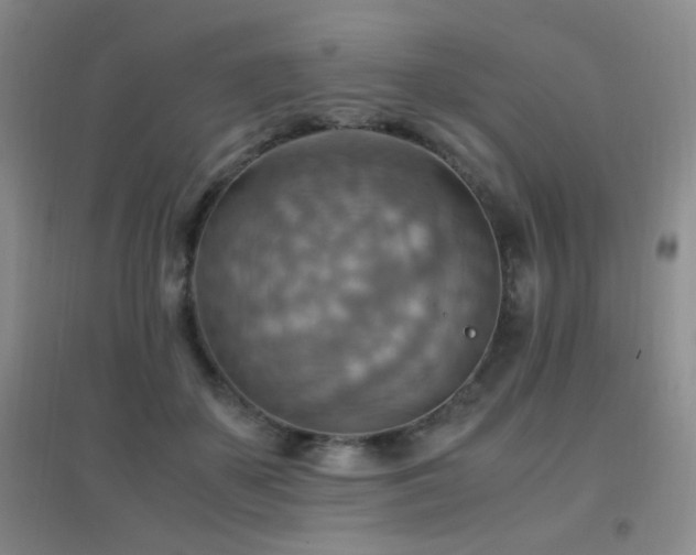 X0000096700507200802051414