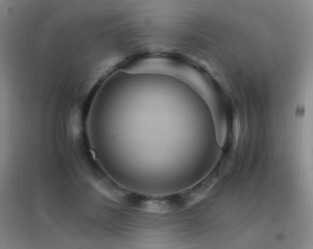 X0000096700508200802051414