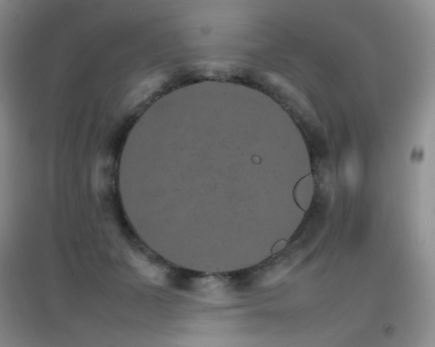 X0000096700511200802051414