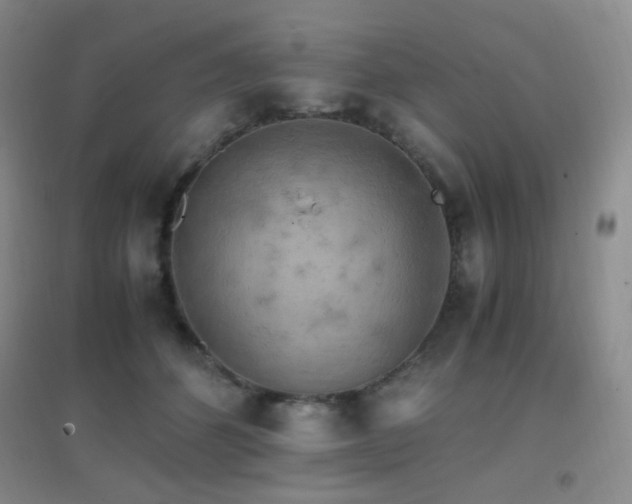 X0000096700512200802051414
