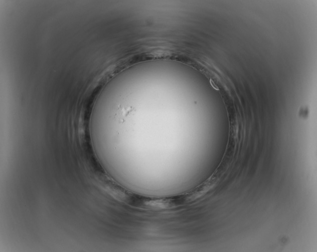 X0000096700516200802051414