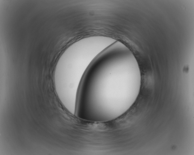 X0000096700517200802051414