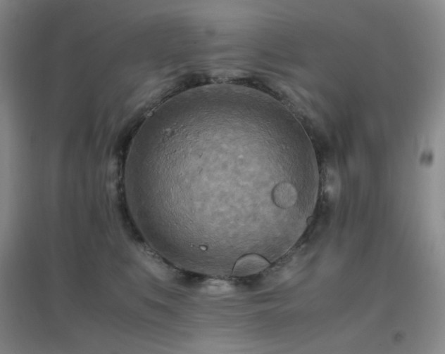 X0000096700519200802051414