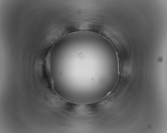 X0000096700521200802051414