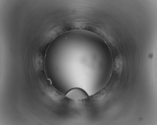 X0000096700522200802051414