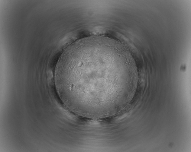 X0000096700523200802051414