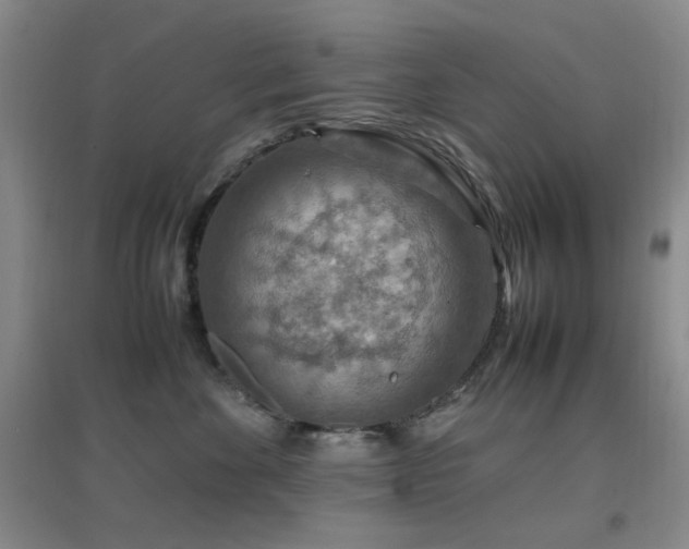 X0000096700524200802051414