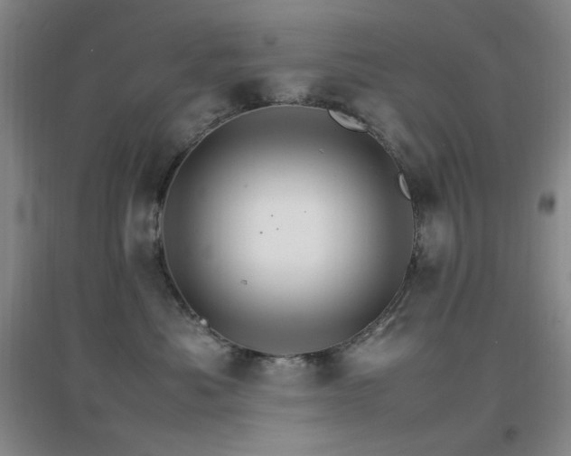 X0000096700525200802051414