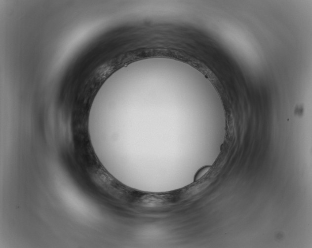X0000096700526200802051414
