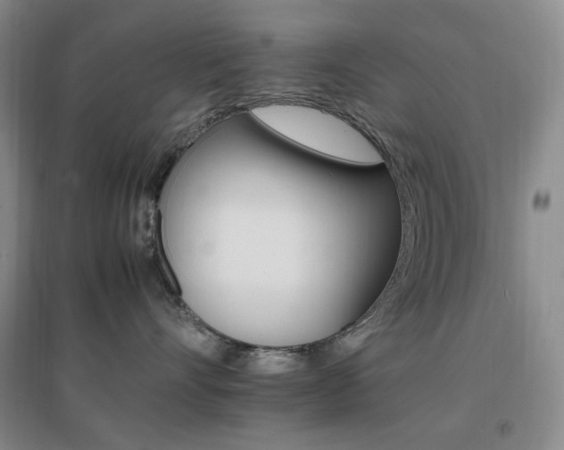 X0000096700528200802051414
