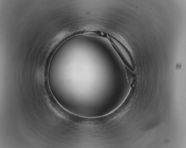 X0000096700530200802051413