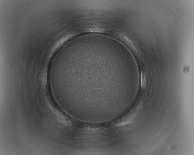 X0000096700531200802051413