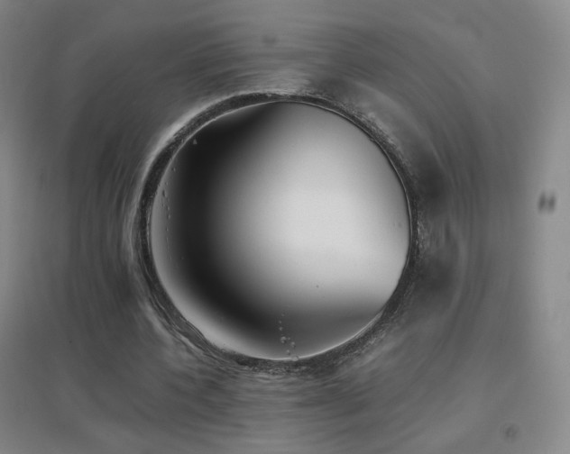 X0000096700532200802051413