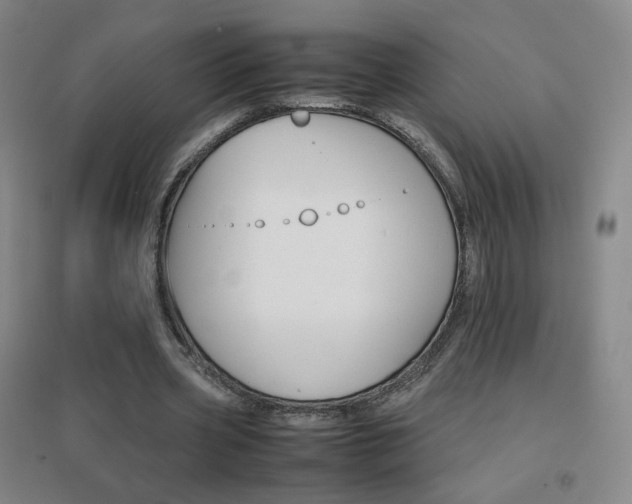X0000096700533200802051413