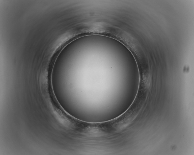 X0000096700534200802051413