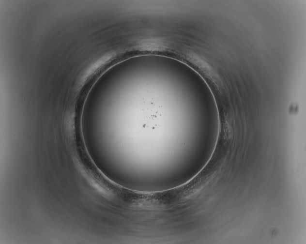 X0000096700535200802051413