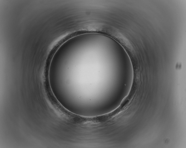X0000096700536200802051413